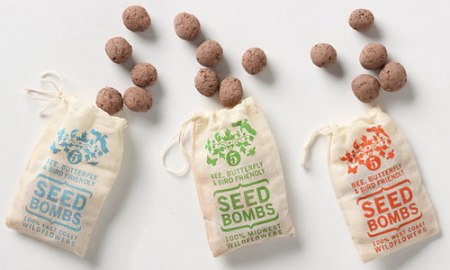 Seed Bombs at Anthropologie