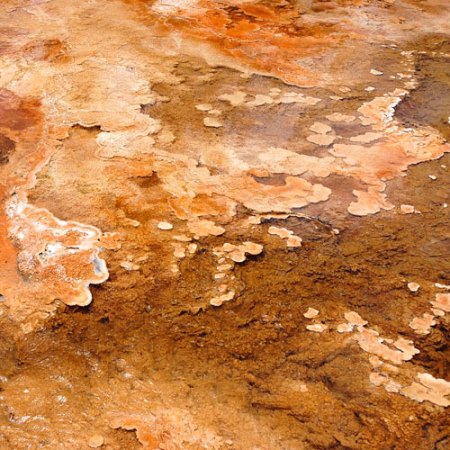 Yellowstone National Park: Form, Color and Pattern