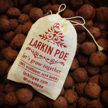 VisuaLingual Promotional Seed Bombs for Larkin Poe