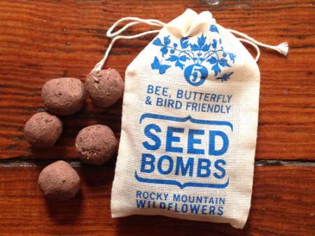 Rocky Mountain Seed Bombs by VisuaLingual
